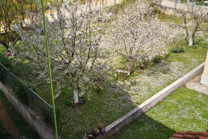 Sinj, odlična kuća s okućnicom