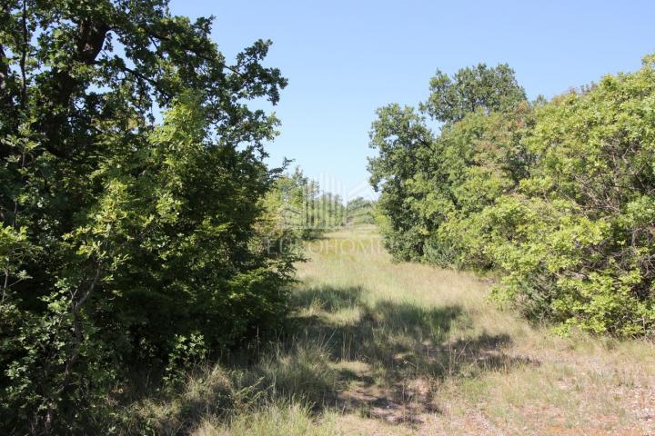 Zemljište, Maslenica, 510 m2