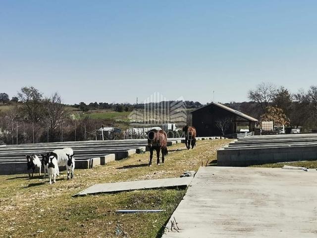 Zadar, Briševo seosko imanje 13000m2 terena 