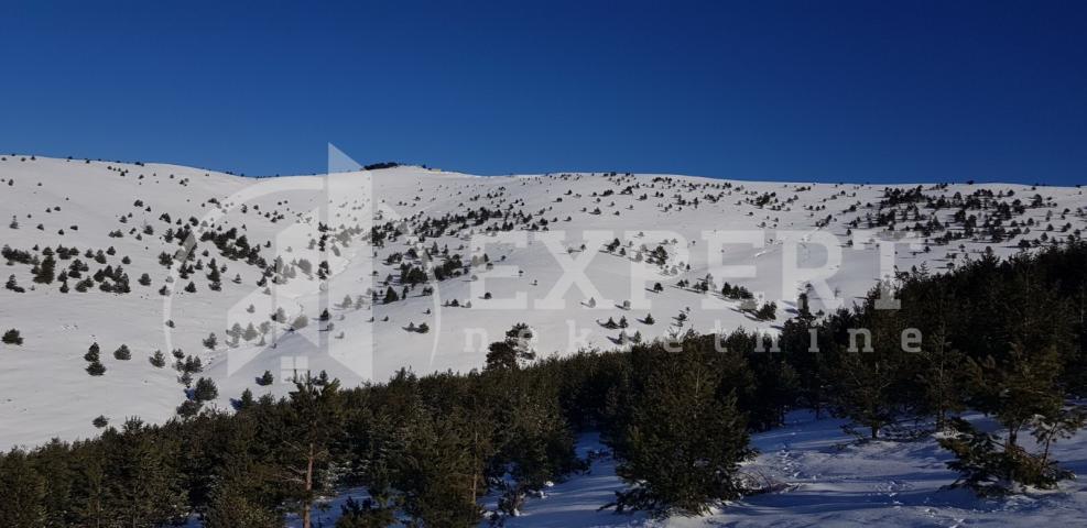 PLAC ČIGOTA ZLATIBOR !!!