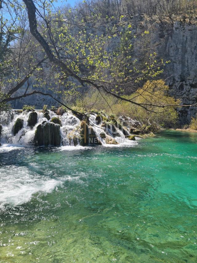 Kuća s okućnicom i 4 građevinska terena u blizini NP Plitvička jezera