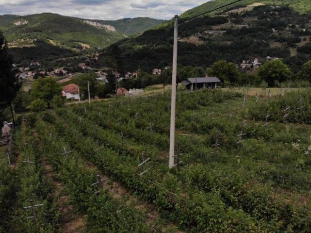 Prodaje se poljoprivredno zemljište, 6907 m2, Staro-Velika Župa, Prijepolje