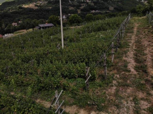 Prodaje se poljoprivredno zemljište, 6907 m2, Staro-Velika Župa, Prijepolje