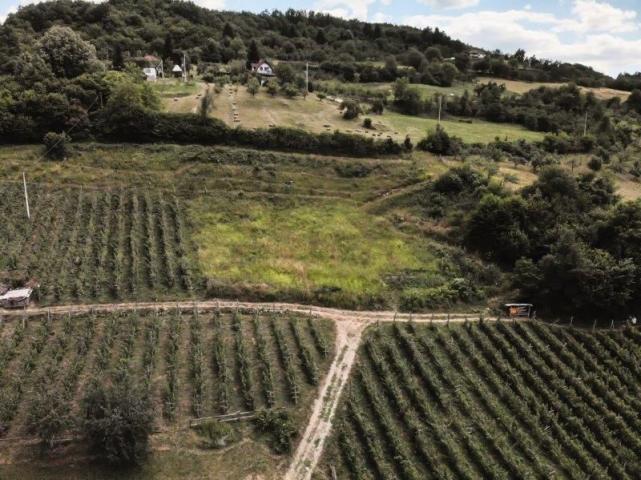 Prodaje se poljoprivredno zemljište, 6907 m2, Staro-Velika Župa, Prijepolje