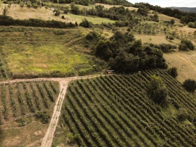 Prodaje se poljoprivredno zemljište, 6907 m2, Staro-Velika Župa, Prijepolje