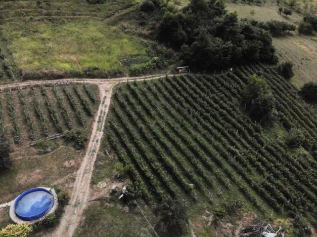 Prodaje se poljoprivredno zemljište, 6907 m2, Staro-Velika Župa, Prijepolje