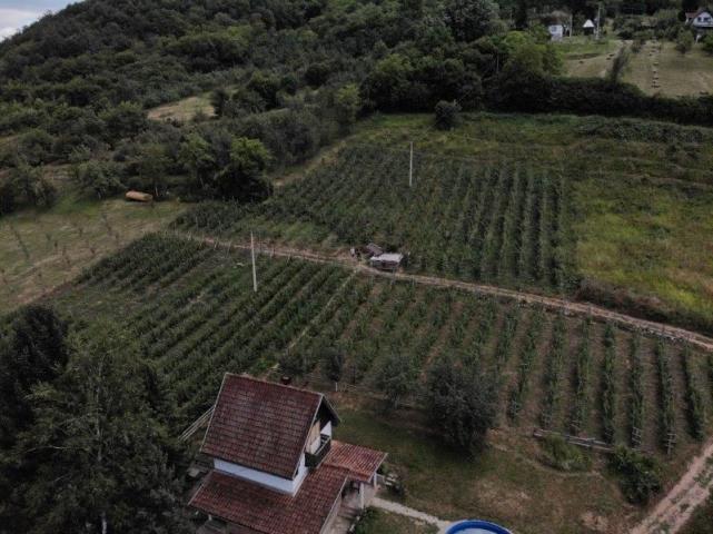 Prodaje se poljoprivredno zemljište, 6907 m2, Staro-Velika Župa, Prijepolje