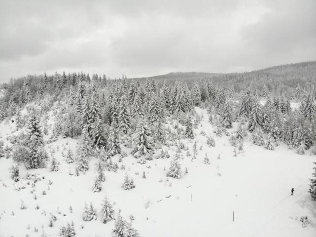 Prodaje se poljoprivredno zemljište  6000 m2, Kamena Gora, Prijepolje