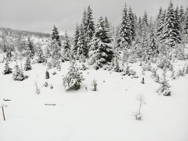 Prodaje se poljoprivredno zemljište  6000 m2, Kamena Gora, Prijepolje