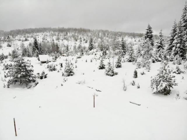 Prodaje se poljoprivredno zemljište  6000 m2, Kamena Gora, Prijepolje