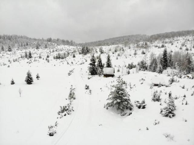 Prodaje se poljoprivredno zemljište  6000 m2, Kamena Gora, Prijepolje