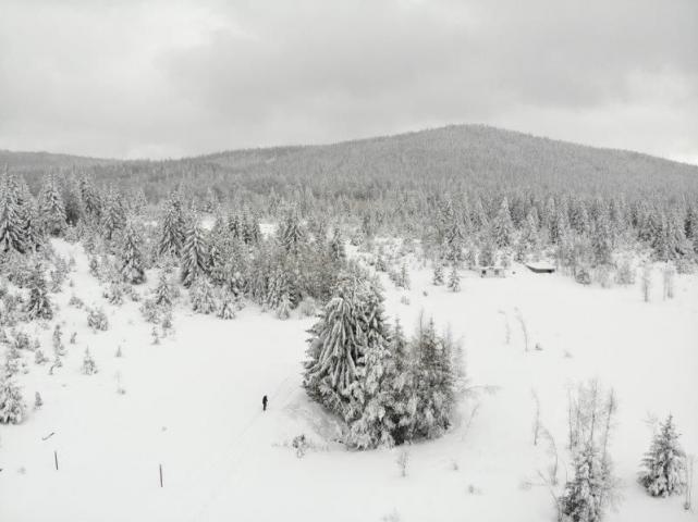 Prodaje se poljoprivredno zemljište  6000 m2, Kamena Gora, Prijepolje