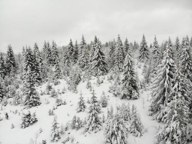 Prodaje se poljoprivredno zemljište  6000 m2, Kamena Gora, Prijepolje