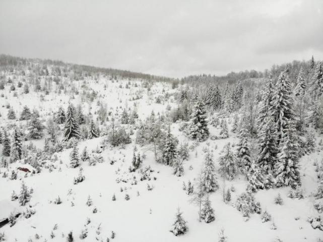 Prodaje se poljoprivredno zemljište  6000 m2, Kamena Gora, Prijepolje