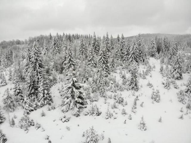 Prodaje se poljoprivredno zemljište  6000 m2, Kamena Gora, Prijepolje