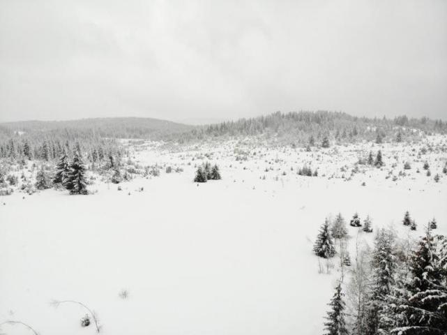 Prodaje se poljoprivredno zemljište  6000 m2, Kamena Gora, Prijepolje