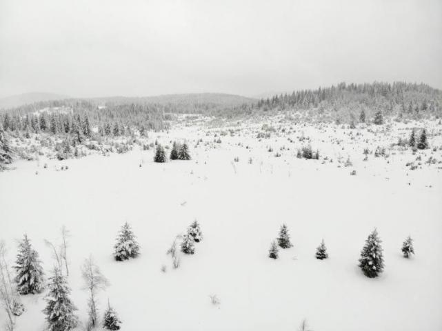 Prodaje se poljoprivredno zemljište  6000 m2, Kamena Gora, Prijepolje