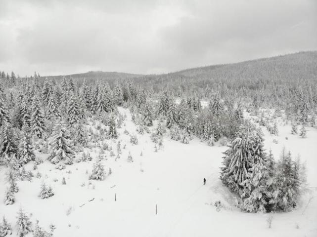 Prodaje se poljoprivredno zemljište  6000 m2, Kamena Gora, Prijepolje