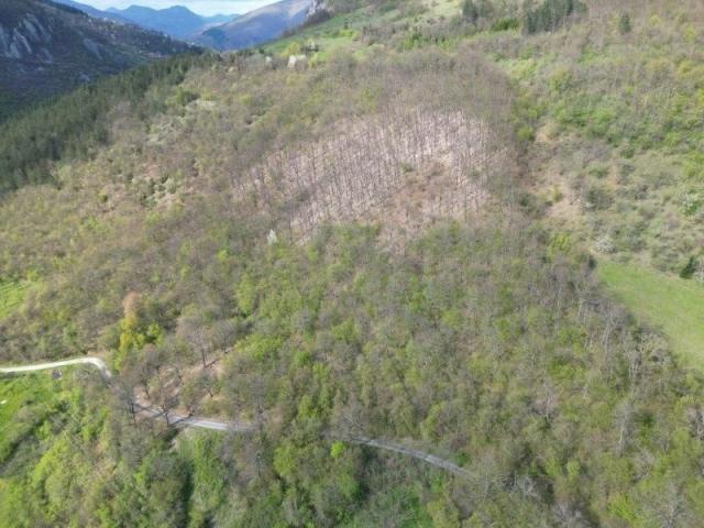 Prodaje se šumsko zemljište 11825 m2, Raišenjeva, Prijepolje