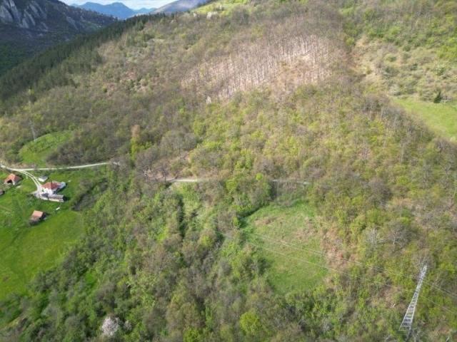 Prodaje se šumsko zemljište 11825 m2, Raišenjeva, Prijepolje