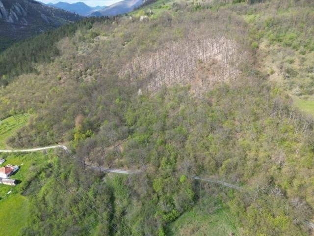 Prodaje se šumsko zemljište 11825 m2, Raišenjeva, Prijepolje