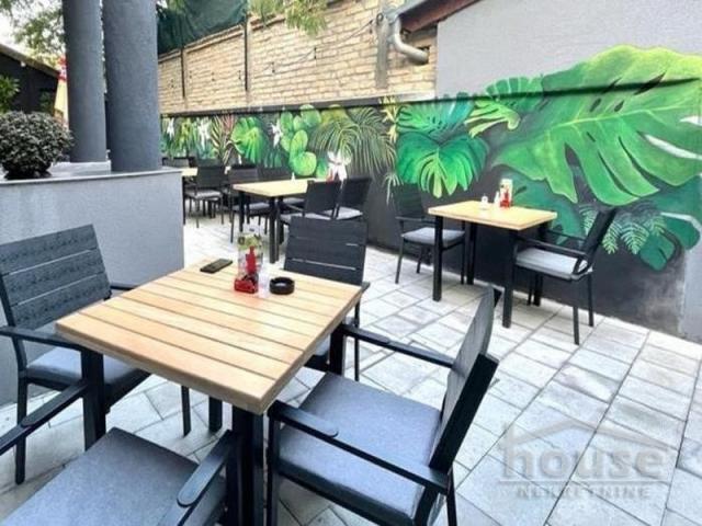 Izdavanje SREMSKI KARLOVCI, CENTAR, kv: 250, € 1800, ID: 9114909