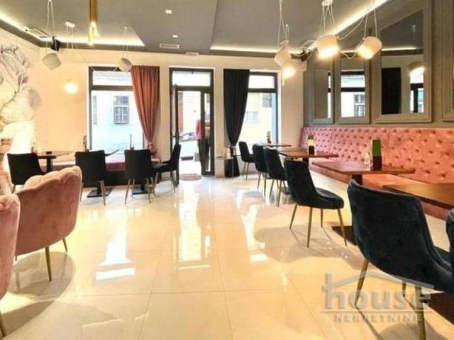 Izdavanje SREMSKI KARLOVCI, CENTAR, kv: 250, € 1800, ID: 9114909