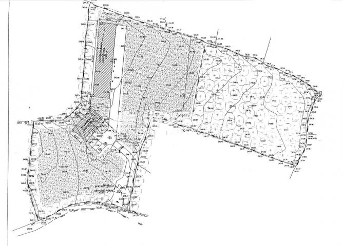 Juršići, zemljište od 20. 000 m2 s projektom, započeta gradnja 