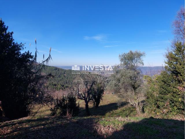 Okolica Motovuna, autohtona istarska kuća s pogledom na Motovun