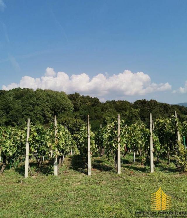 Prodaja, Kuća, 120m2 , Hrženik