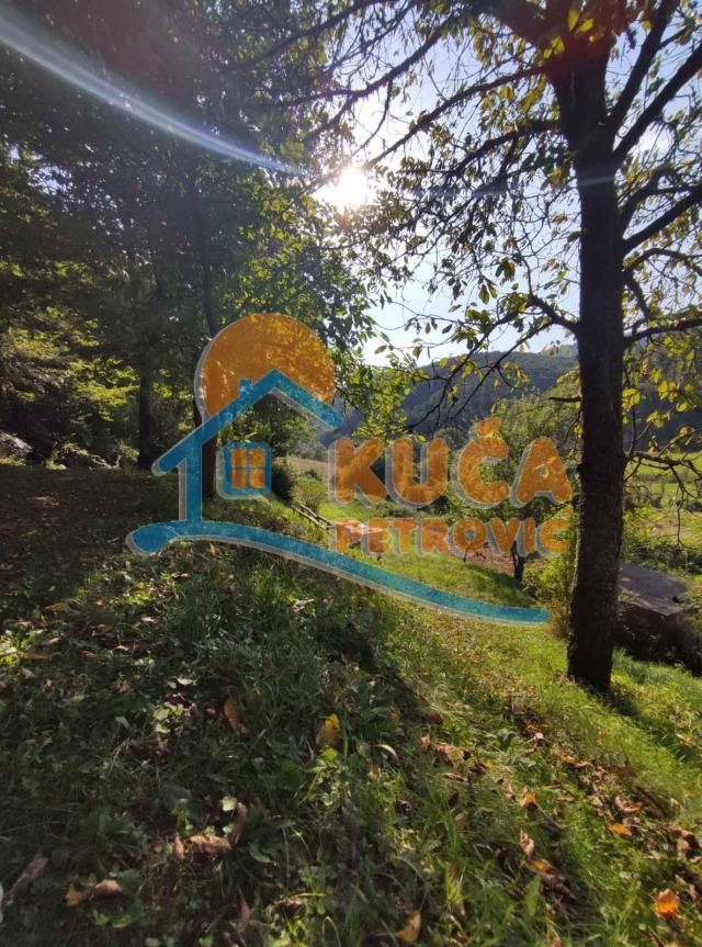 Kuća 157m2, plac 18, 34a,  selo Tulare, opština Medveđa