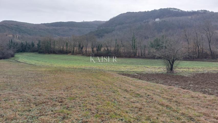 Istra, Motovun - građevinsko zemljište T2, pogled Motovun