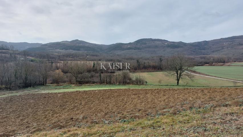 Istra, Motovun - građevinsko zemljište T2, pogled Motovun