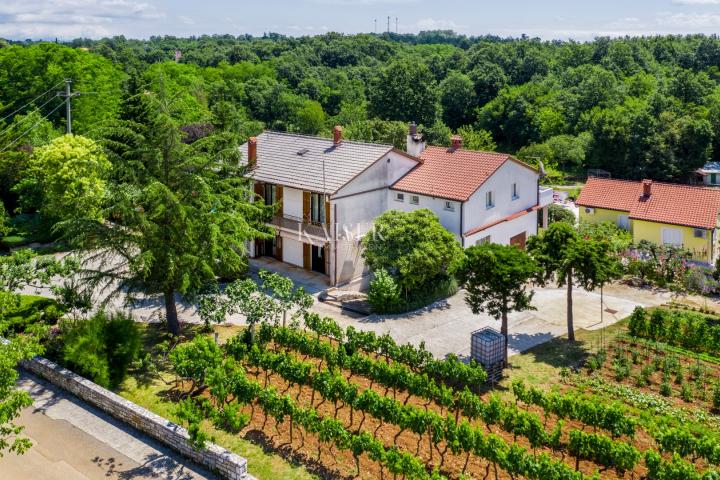 Istria, Žminj - family estate, 2 houses with swimming pools and 1 office space