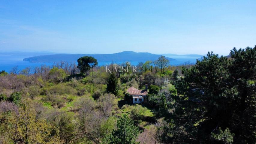 Mošćenička Draga - property, 8,000 m2