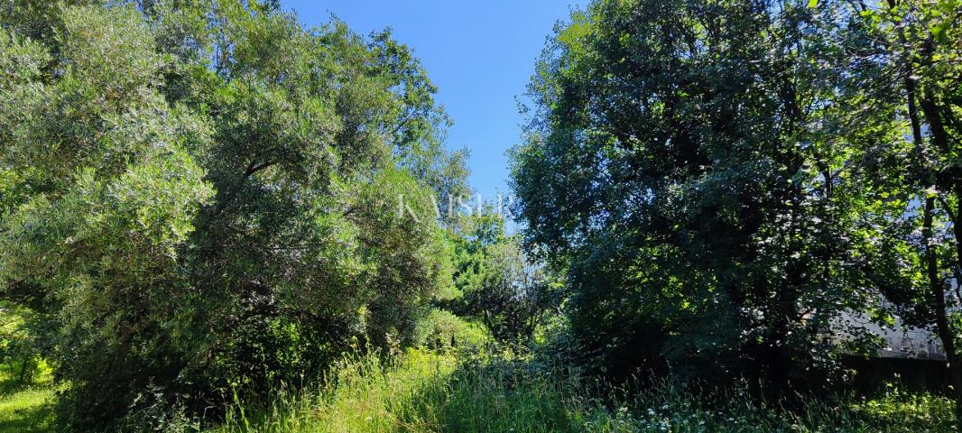 Drenje - Baugrundstück im Grünen, 900 m2