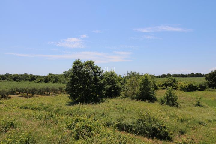 Istrien - Poreč, Baugrundstück 500 m zum Meer, T1-Zone