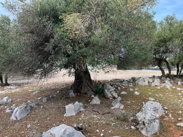 Otok Pag, Lun - jedinstveno građevinsko zemljište 950m2