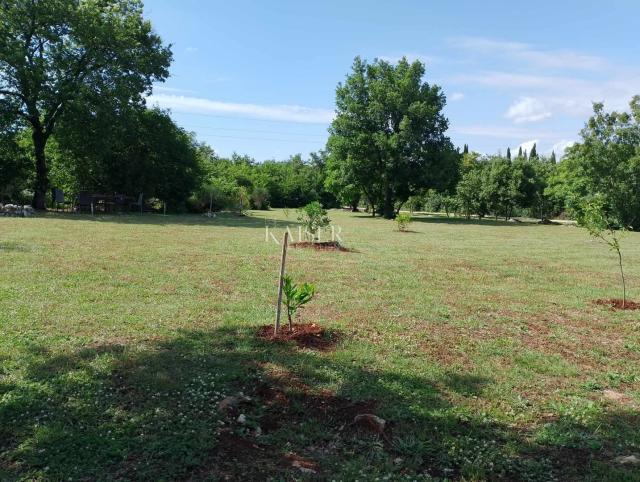 Farmland Rovinj, 4.217m2