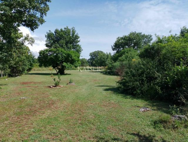 Farmland Rovinj, 4.217m2