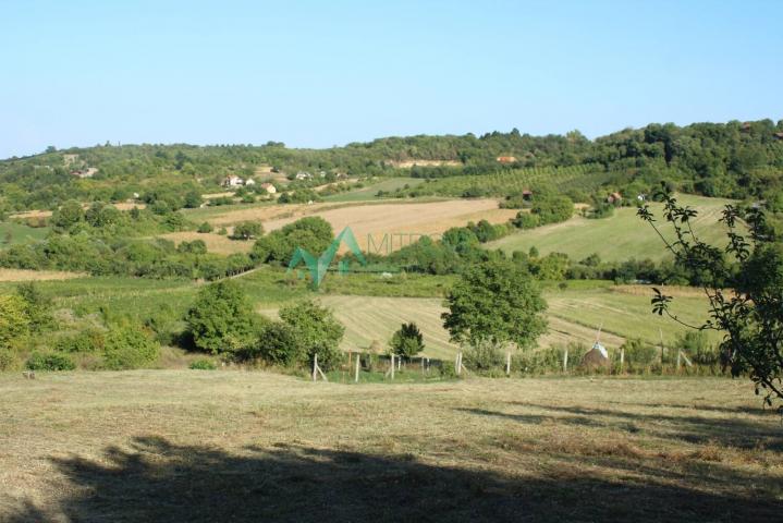  Sremska Kamenica, Čardak - Odličan plac ukupne kvadrature od 2009 m2 