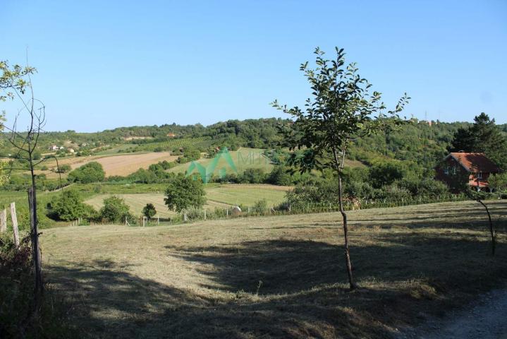  Sremska Kamenica, Čardak - Odličan plac ukupne kvadrature od 2009 m2 