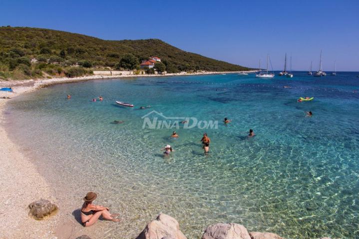 Prvi red otok Premuda rijetkost na tržištu