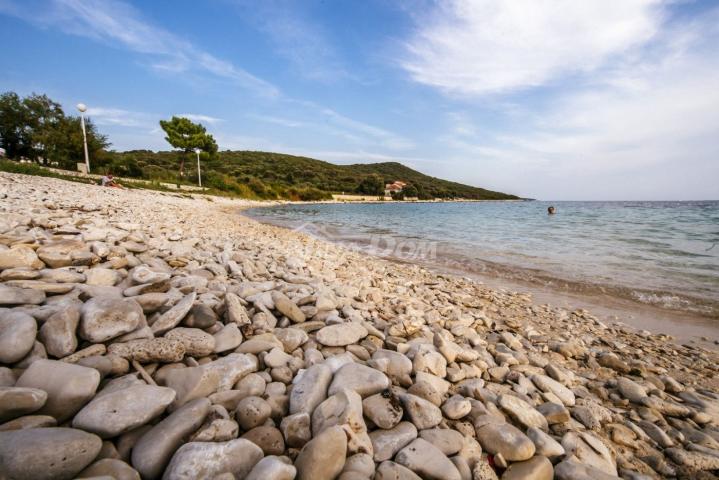 Prvi red otok Premuda rijetkost na tržištu