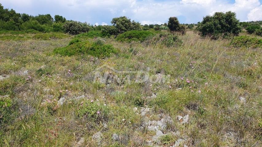 Poljoprivredno zemljište 7168 m2, pristup s asfalta. Pogled na more. 