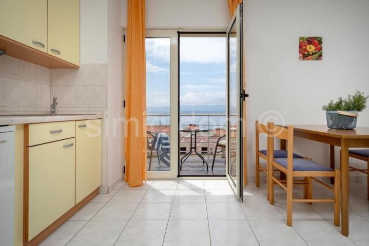 Prostrana vila s apartmanima i bazenom, prodaja