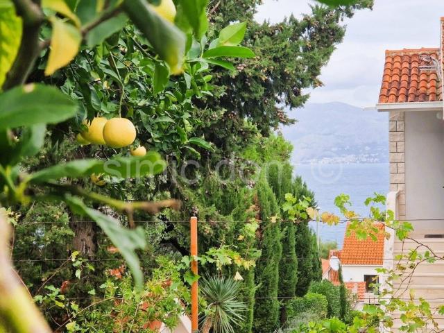 Šarmantna kuća s prostranom okućnicom za prodaju, Brač