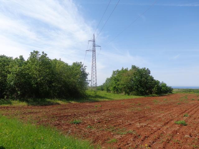 Grosse Landwirtschaftliche Gelände