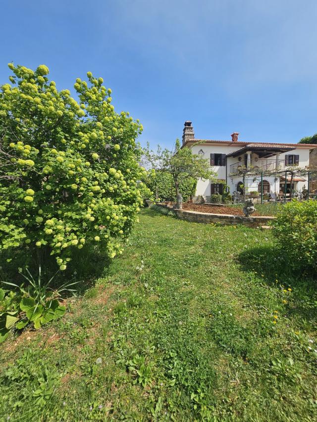 Stone house with a large garden near Buje in Istria