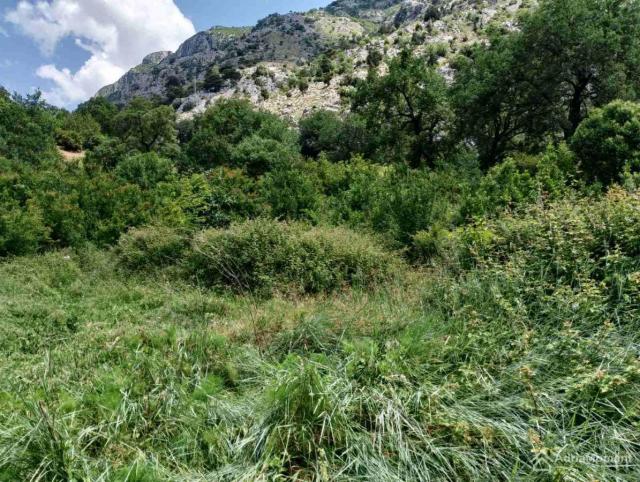 Prodajem ekskluzivan plac u Kotoru, iznad tržnog centra Kamelia